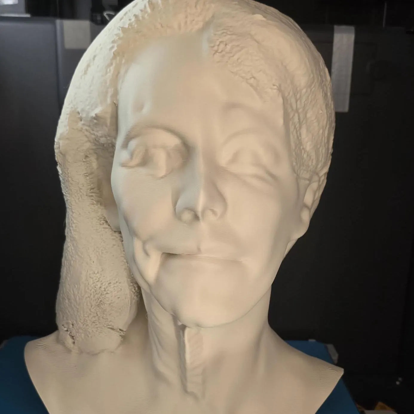 Custom 3D Printed Bust from Photo Personalized Statue Unique Gift or Memorial Keepsake