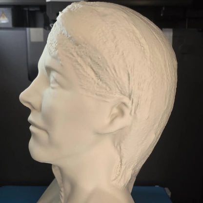 Custom 3D Printed Bust from Photo Personalized Statue Unique Gift or Memorial Keepsake